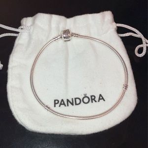 Pandora Snake Chain Bracelet